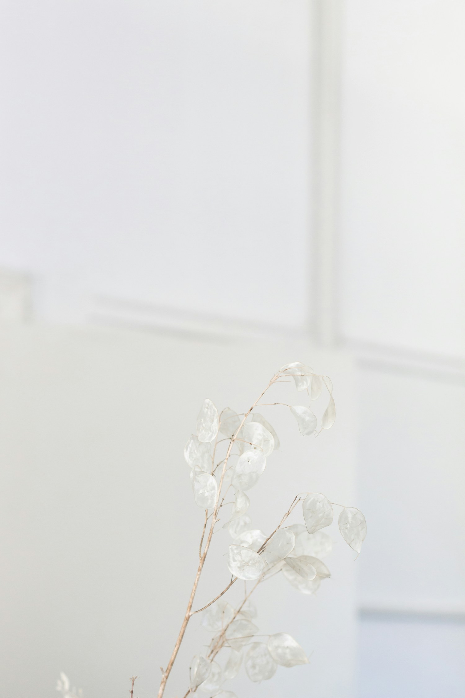 Décoration florale événementielle